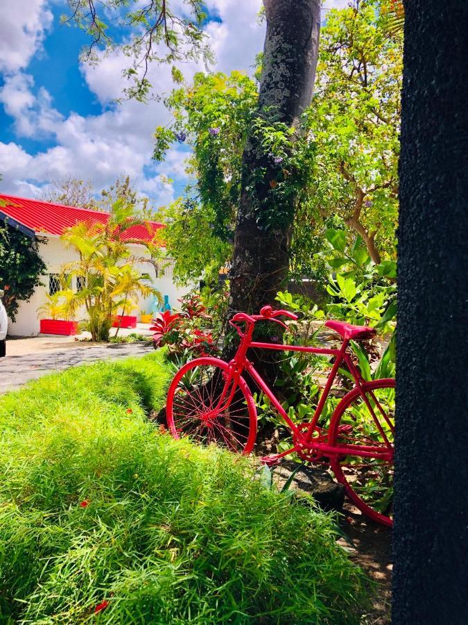 The Good Life - Eco Lodges & Serenity Boutique Hotel - Adults Only 马勒勒角 外观 照片