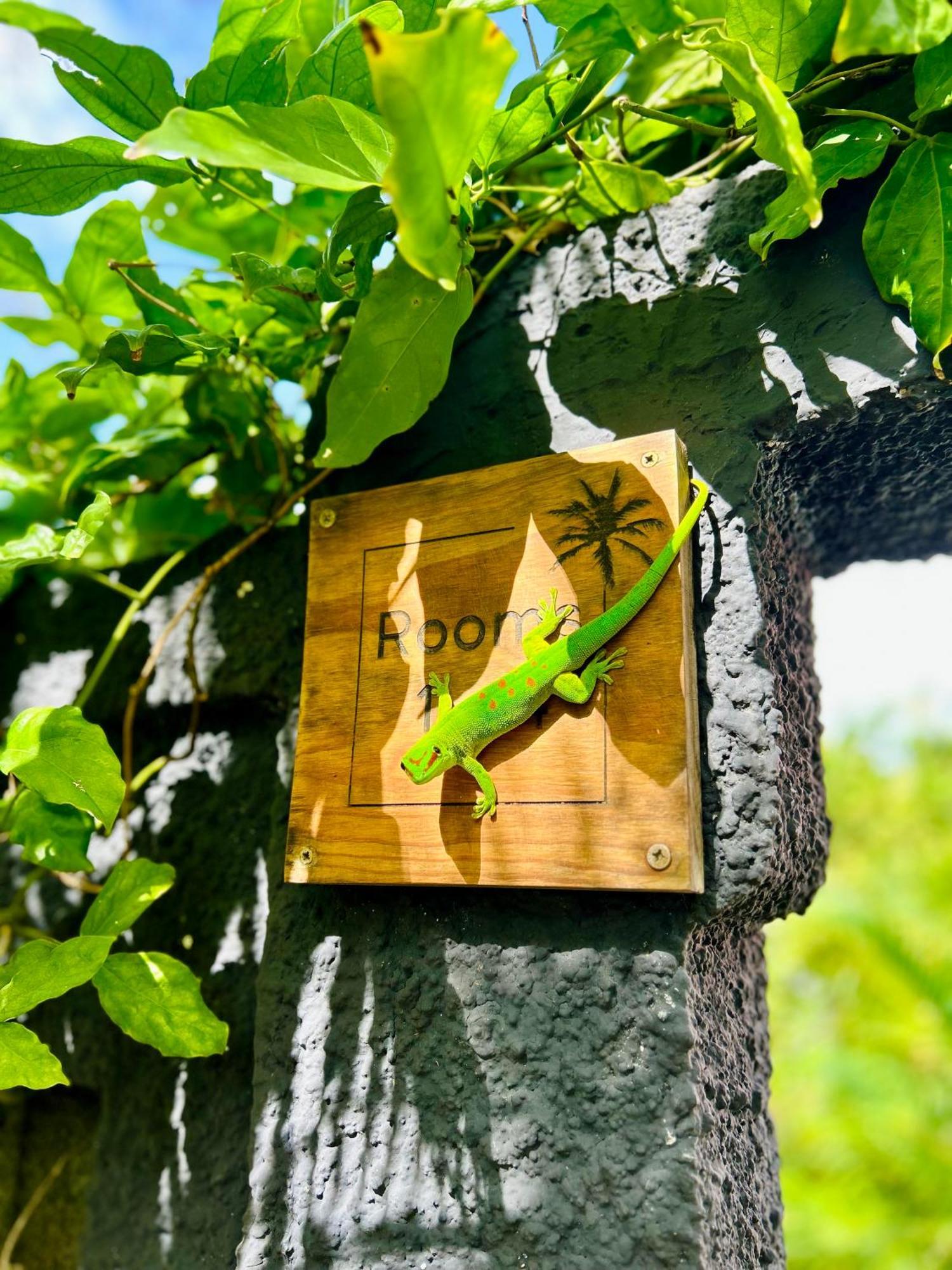 The Good Life - Eco Lodges & Serenity Boutique Hotel - Adults Only 马勒勒角 外观 照片